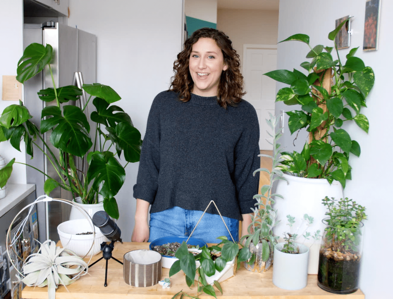 In Conversation with Avery of Beanstalk & Company