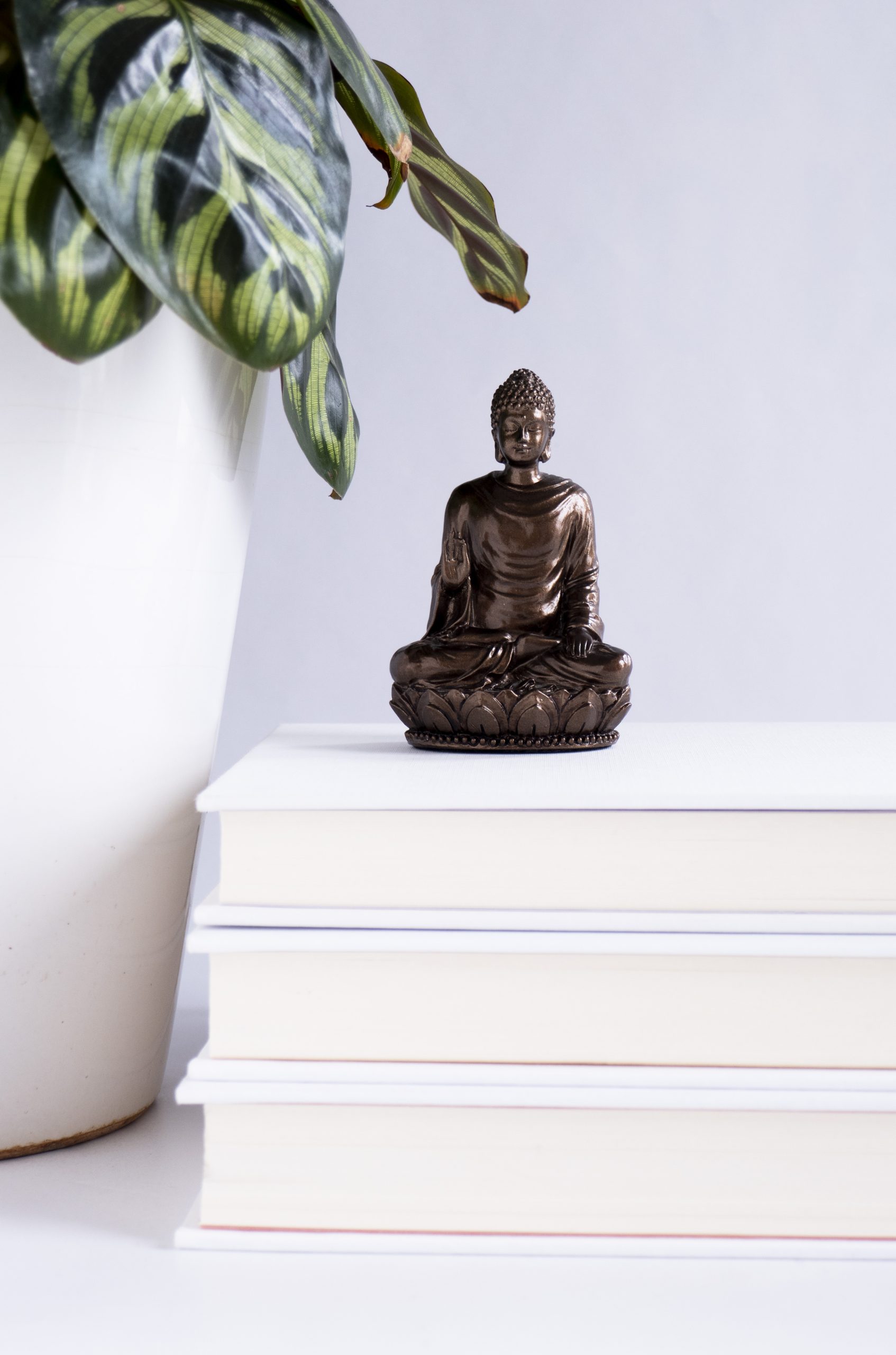 Small Buddha figurine on a stack of white books next to white potted plant